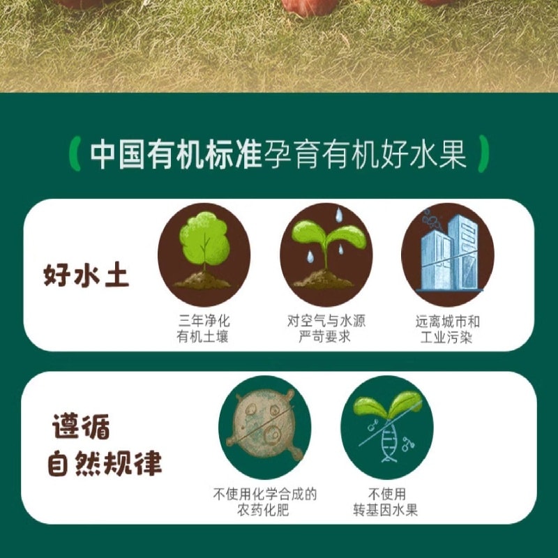 【中国直邮】 英氏 有机婴幼儿果泥 婴儿谷物泥 有机婴儿藜麦燕麦水果泥100g/袋