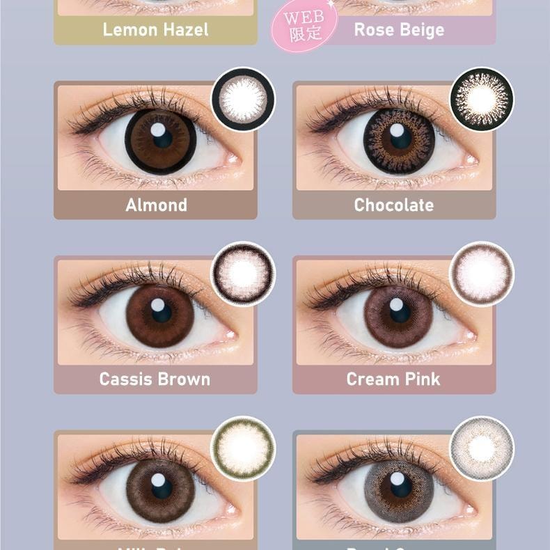 【日本美瞳/日本直郵】Bambi Series 日拋美瞳 10片裝 Swan Gray「灰色系」度數 750(7.50) 預定3-5天 DIA:14.4mm | BC:8.5mm