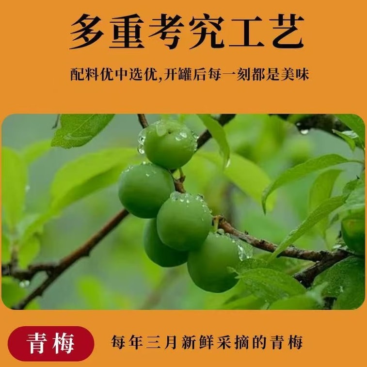 Guanbao Original Sour Plum Sauce, Old Brand Authentic Sweet And Sour Sauce, 330g*1 Bottle 3