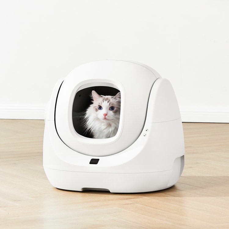 CATLINK Automatic Self-Cleaning Litter Box Scooper SE - Yamibuy.com