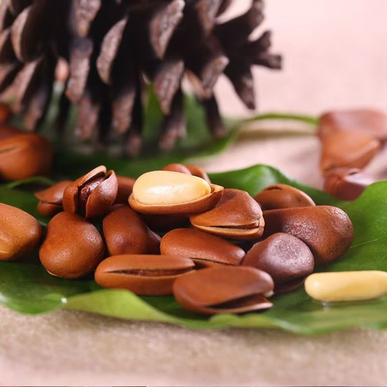 【中國直郵】 老街口 東北松子零食堅果乾果新貨大顆粒手剝開口紅松120g*1包 4