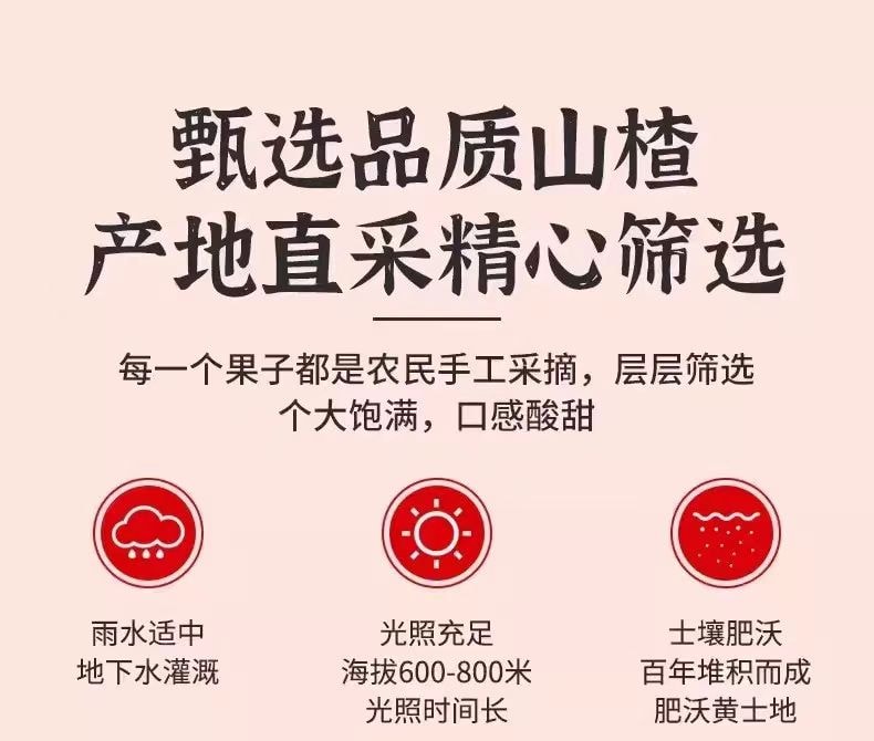 咔楂脆 凍乾山楂大冰糖葫蘆 果肉飽滿 酸甜酥脆 喚醒味蕾 55g