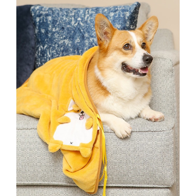 Corgi Plushy Air Conditioning Blanket #L size# 3