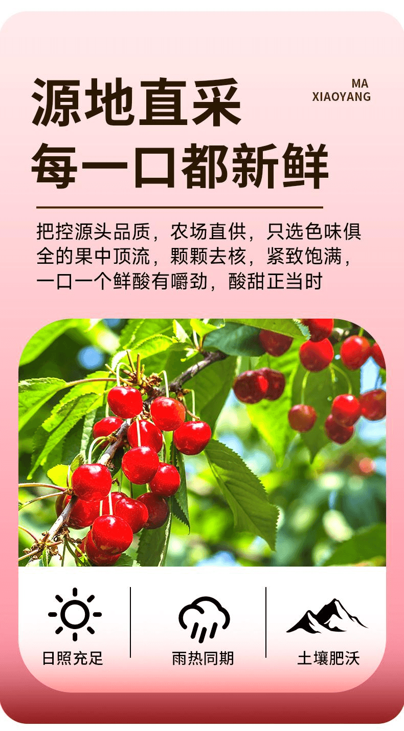 【中国直邮】 马小养 山东大樱桃干果脯蜜饯酸甜可休闲办公果干零食无核樱桃干80g*1袋