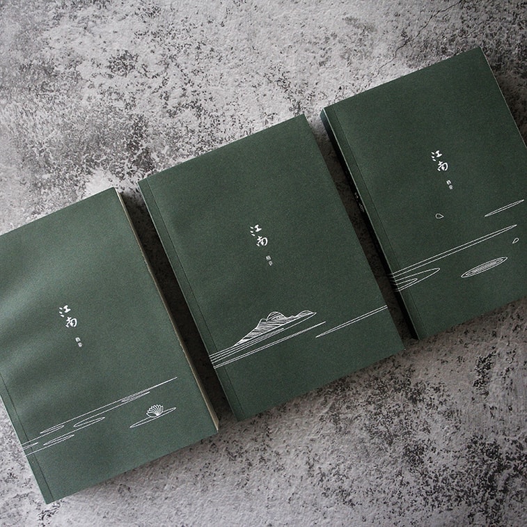 格非:江南三部曲(茅盾文学奖扛鼎之作!莫言心中的当代《红楼梦》) 3