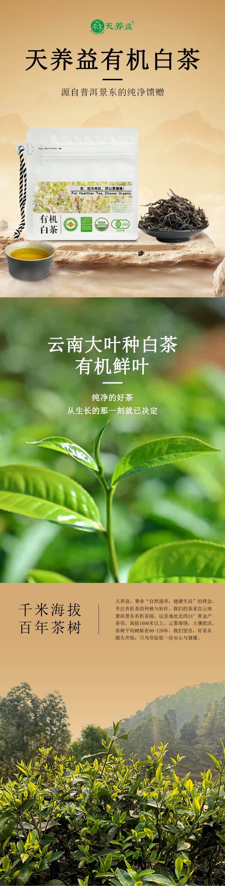 天養益 有機生茶 中國有機 美國有機 歐盟有機 日本有機認證 促進腸道消化 自飲 散茶 50g