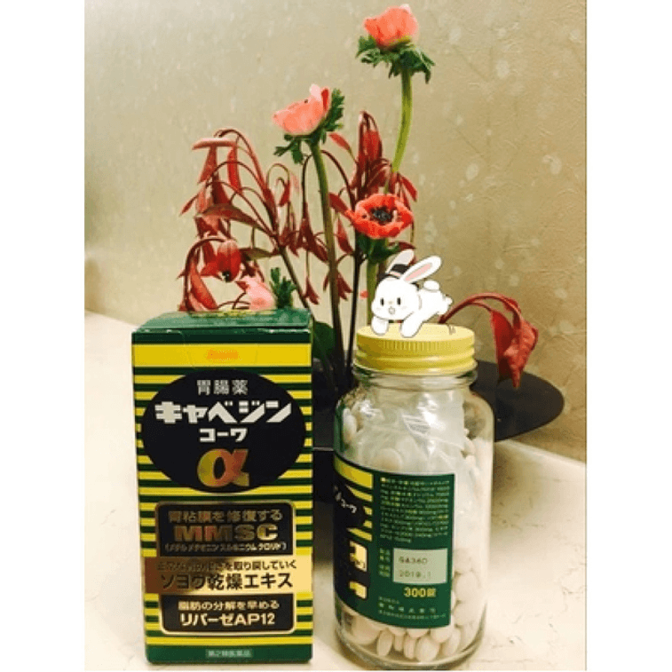 [최신 포장 가능] [일본 직배송] KOWA제약 위장약 (300정) - 위 점막 회복, 위산 해독, 숙취 해소, 지방 소화 3