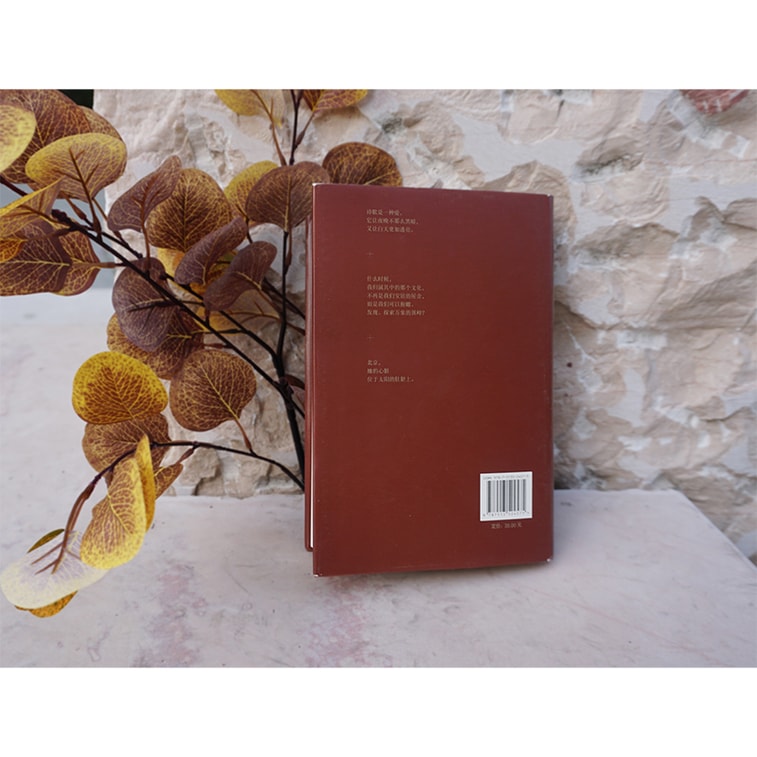 诺贝尔文学奖提名之作:在意义天际的写作·阿多尼斯文选 5