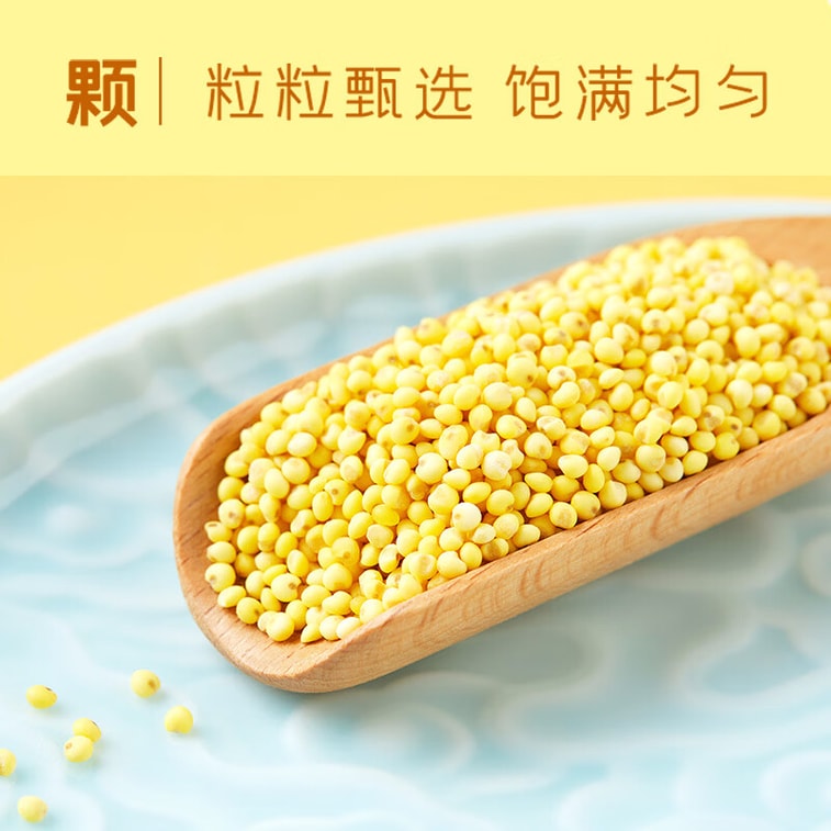 【中國直郵】 十月稻田 【金黃軟糯】大黃米 1000g 3