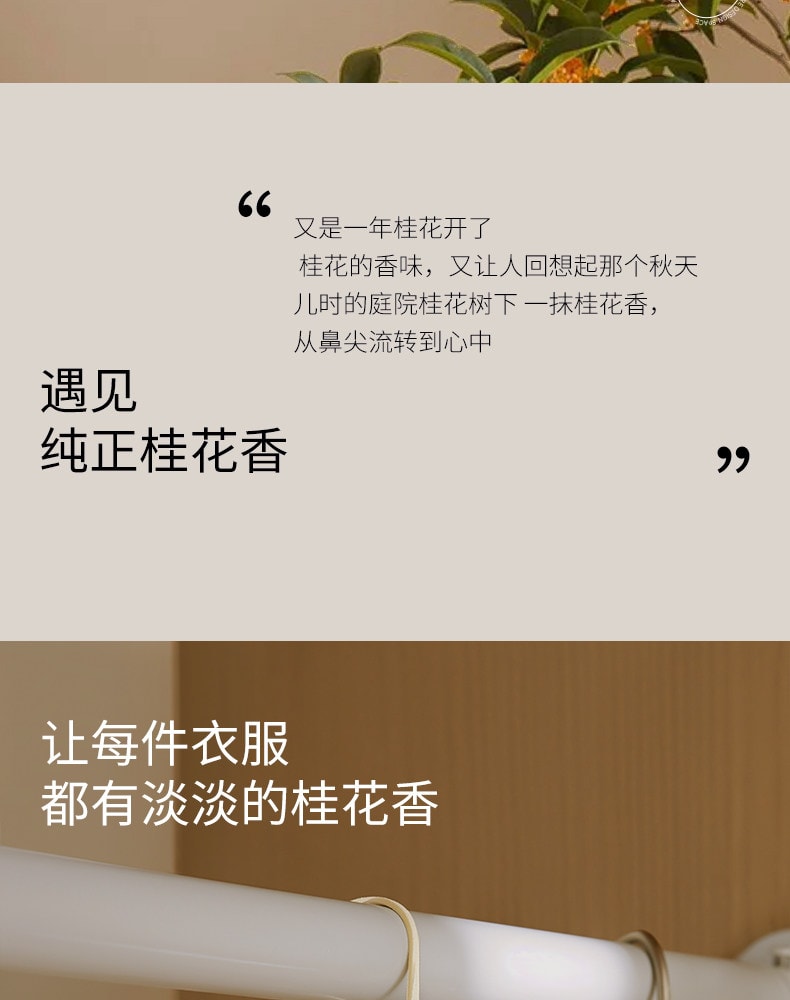 尹谜 香薰蜡片 花开馥桂 桂花满溢 增添秋日的温馨浪漫 新中式车载衣橱香薰挂件
