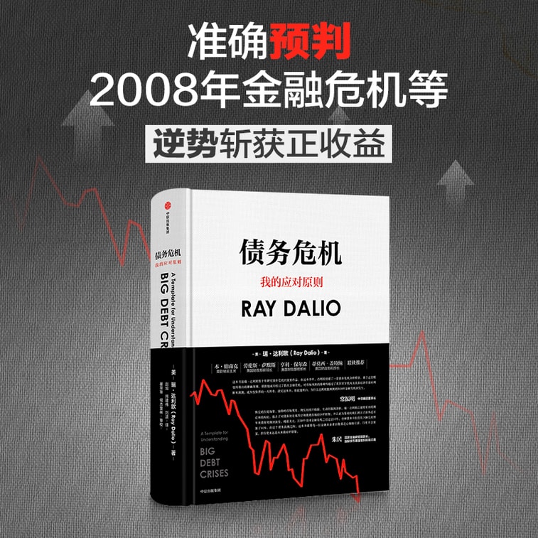 【中国直邮】I READING爱阅读 债务危机 5