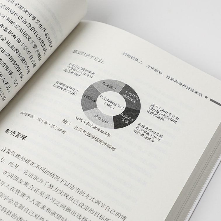 【中国直邮】I READING爱阅读  现象式学习 5