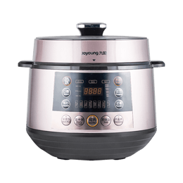 Electronic Pressure Cooker Y-50C19