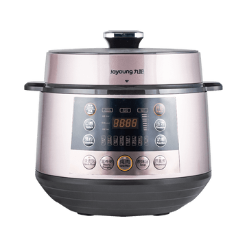 Electronic Pressure Cooker Y-50C19