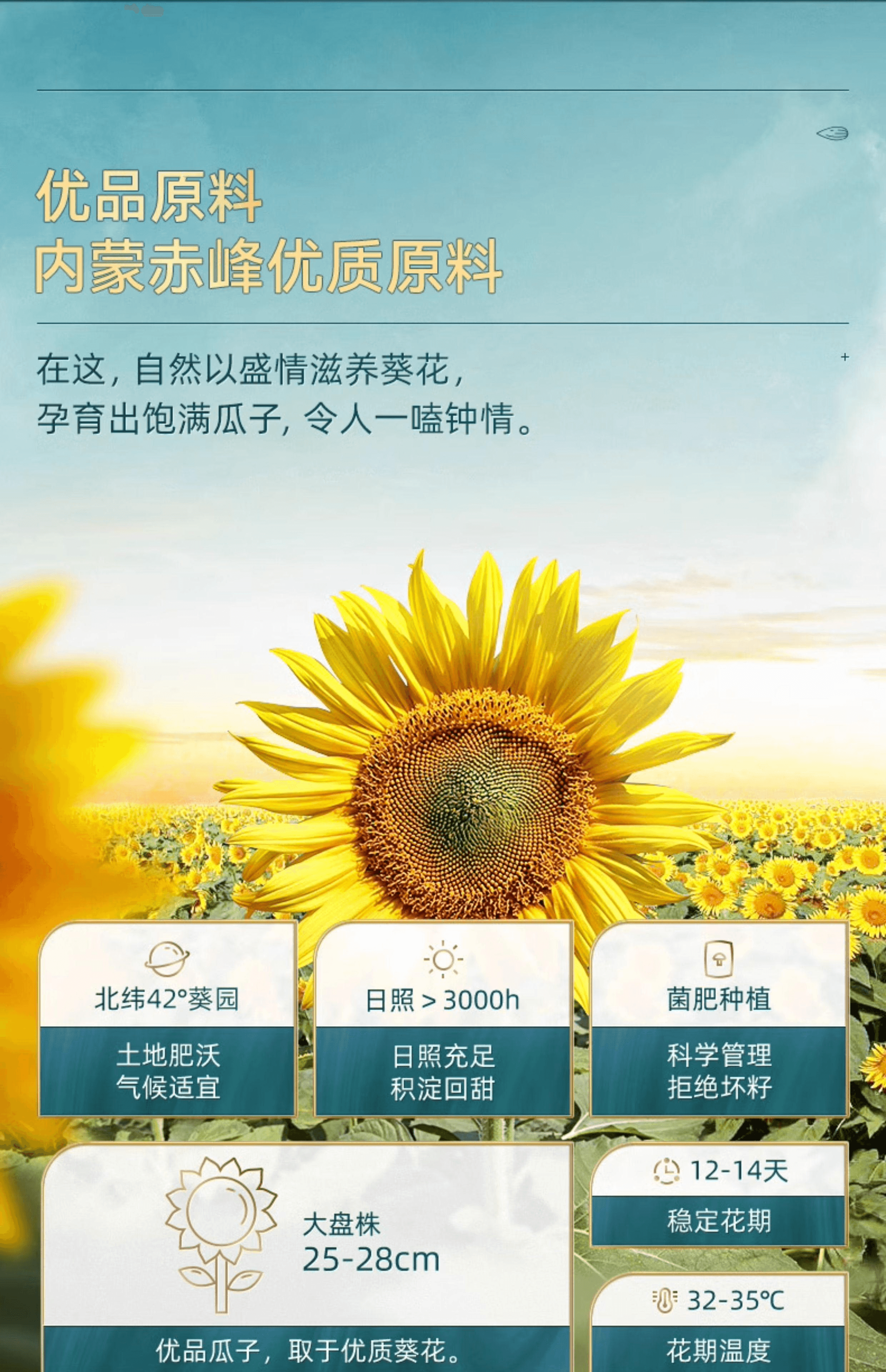 【中國直郵】 洽詢 葵珍原味大瓜子葵花籽小包10g*26包