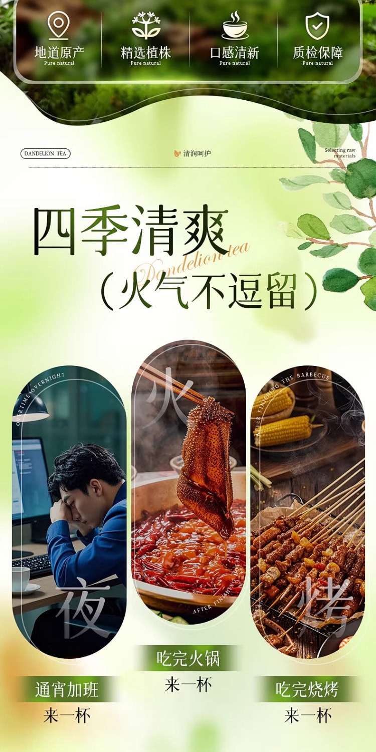 北京同仁堂 蒲公英散结茶 特级野生中药材 清热去火 抗炎祛痘 消散结节泡水喝养生茶【熬夜常备 不惧肝火】50g