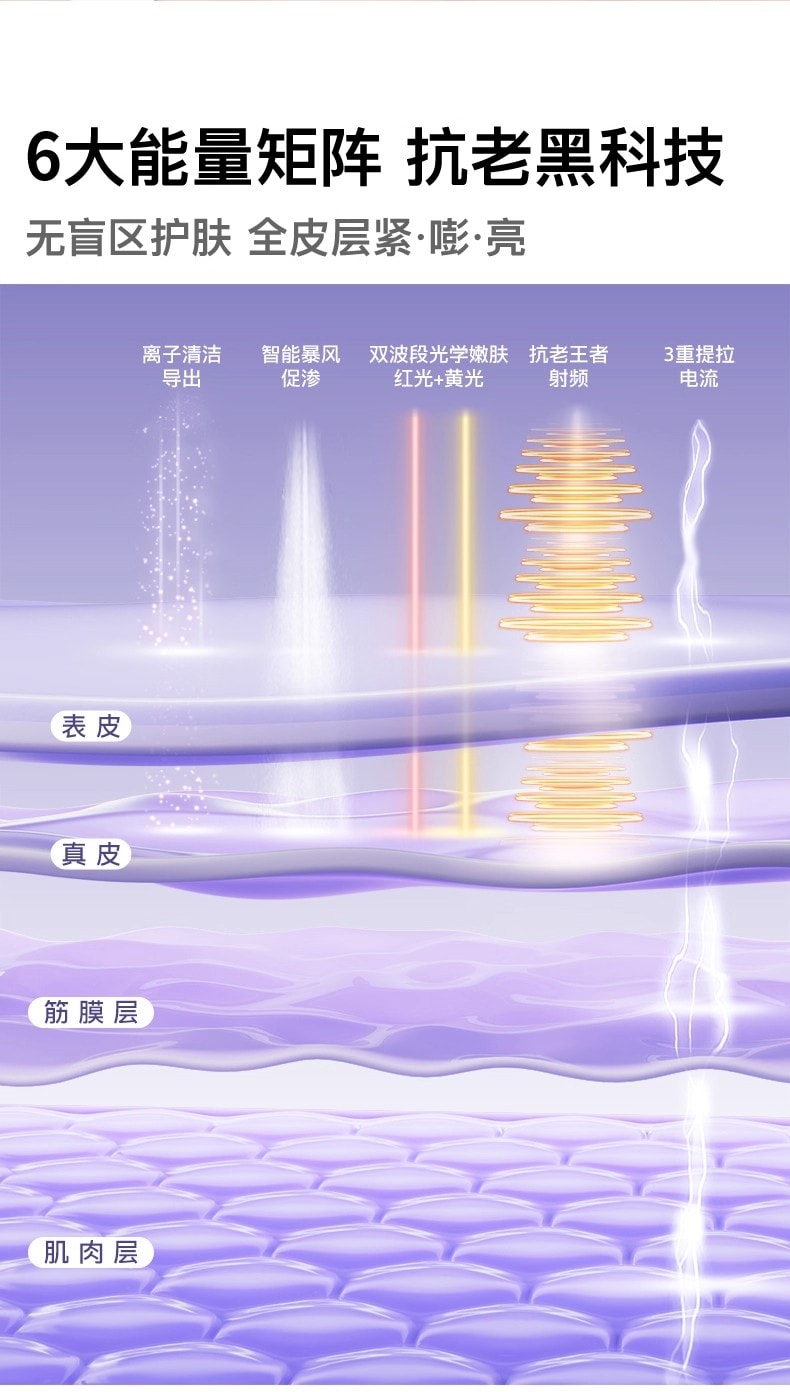 【品牌国内同价】FLOSSOM花至 小紫弹智能射频美容仪器 家用智能美容仪 多功能分区护理 脸部&颈部提拉紧致 速渗透 强透亮FR200 1 件