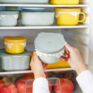 BUYDEEM北鼎 豬豬盒 多功能便當盒陶瓷便當盒 電蒸籠配件 12cm 淺衫綠 附把手 CT3010