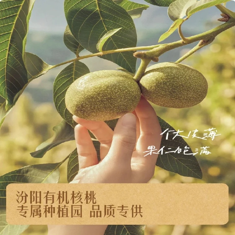 【중국 직배송】 잉즈 【저자극 과일 오일】 아보카도 오일 125ml 아기 이유식 오일 3