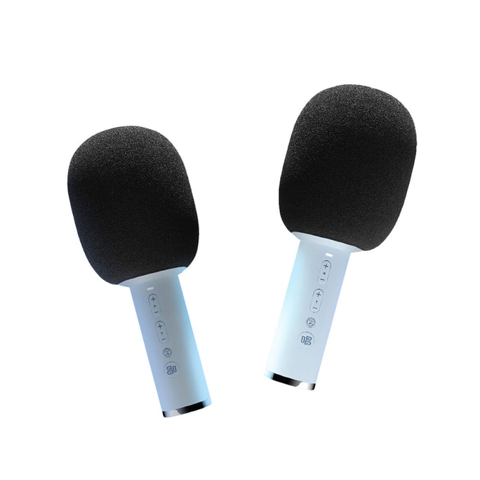 Microphone with its own speaker automatic tuning double set