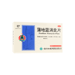 Pudilan 抗炎症錠剤 - 漢方薬、48 錠