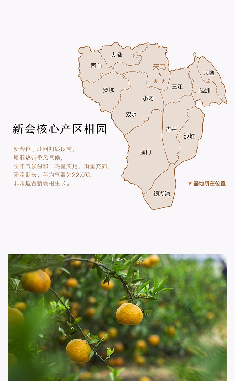 5 Years Chenpi (Aged Tangerine Peel) Tea Caffeine Free Sugar Free Soup Base Hot Pot Companion Gift 170g