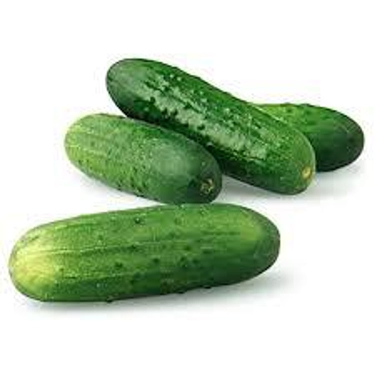 KIRBY CUCUMBER 1.8LBS-2.2LBS - Yami