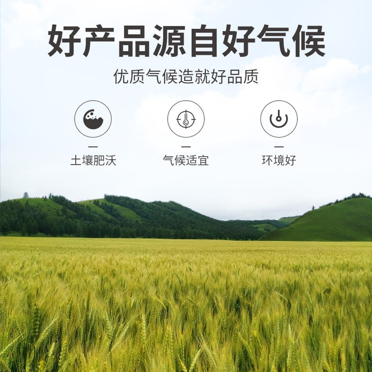 Barley Tea Aids Digestion Weight Loss Rich Barley Flavor Hot/Cold Herbal Tea Non-Stick Roasted Whole Barley 230g 9