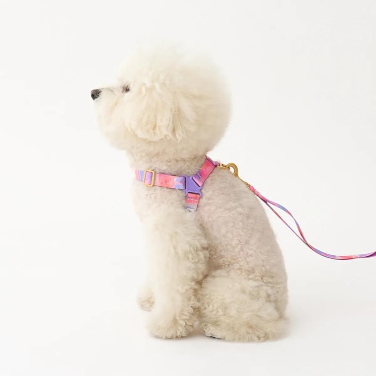 No-Pull Pet Dog Harness Milky Way L Neckline16.1~20.1in Chest20.1~25.2in 18~29lb 10