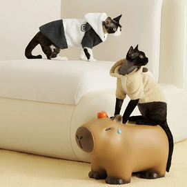 BANANAIN蕉內 絨絨520Home 大貓半邊絨連帽寵物服 貓狗同款有袖 M碼