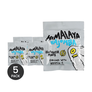 馬來西亞BIG FOOT大馬碧富 閃電果香薄荷味糖 15g *5【5份超值裝】【富含維生素C】【鹽分補給 清新口氣】【網紅爆款】