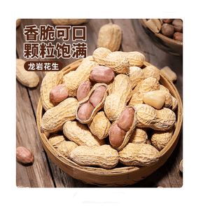 Longyan Peanuts With Shells, Boiled With Garlic Flavor Peanuts* Garlic Flavor 100g/1 bag