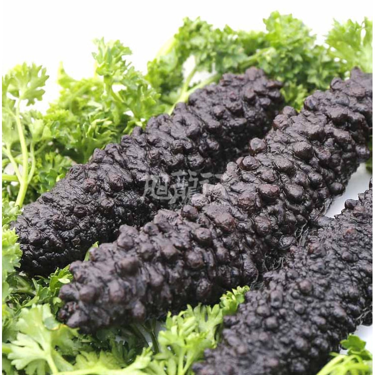 Sun Dried Wild Caught Arctic Sea Cucumber#70 AAAA Large 227g 5
