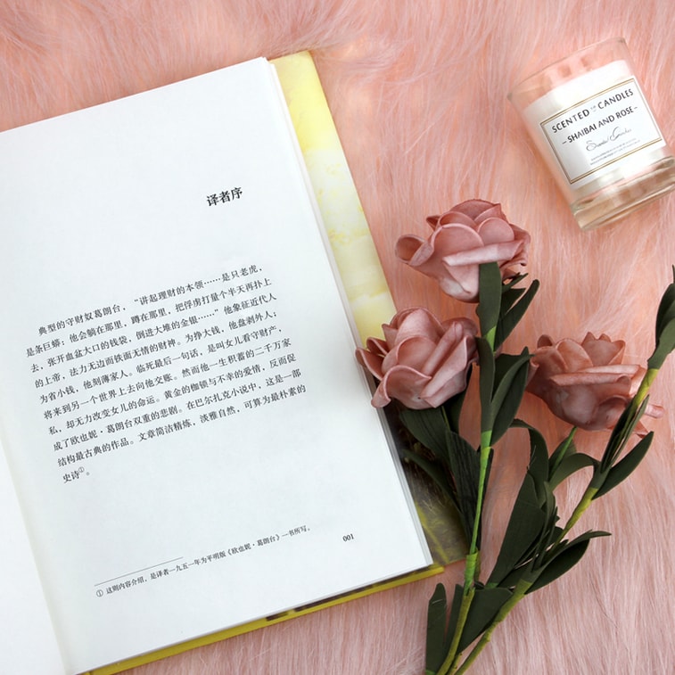 【中国直邮】I READING爱阅读 欧也妮·葛朗台(外国经典名著) 4