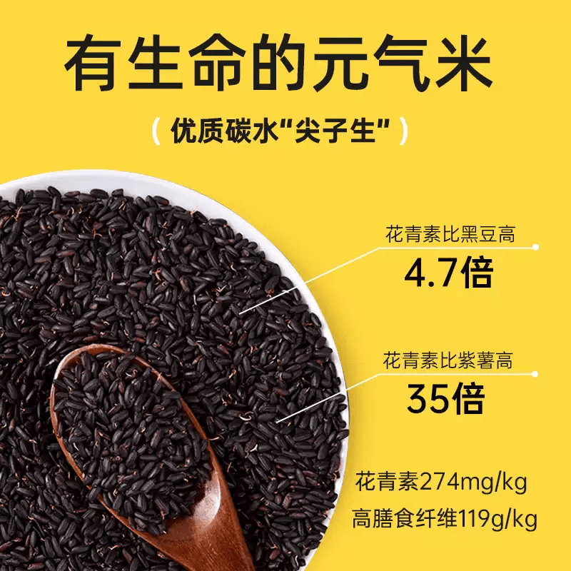【中国直邮】 糙米大匠 发芽黑糙米500g黑米杂粮粗粮新米