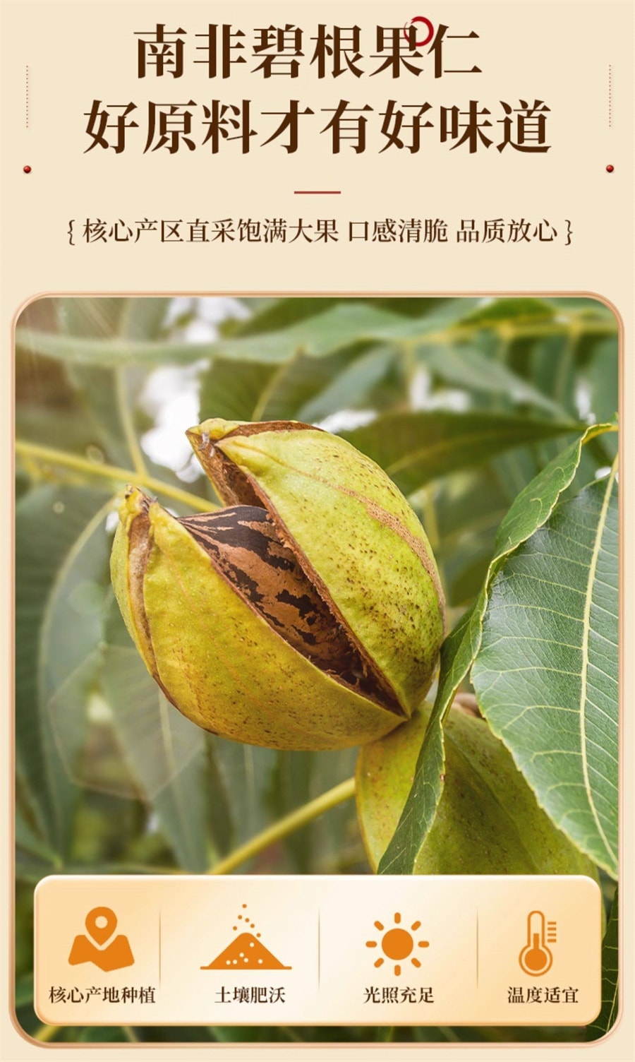 【中國直郵】 老街口 原味長壽果堅果乾果仁休閒健康零食烘焙新貨 碧根果仁250g/袋