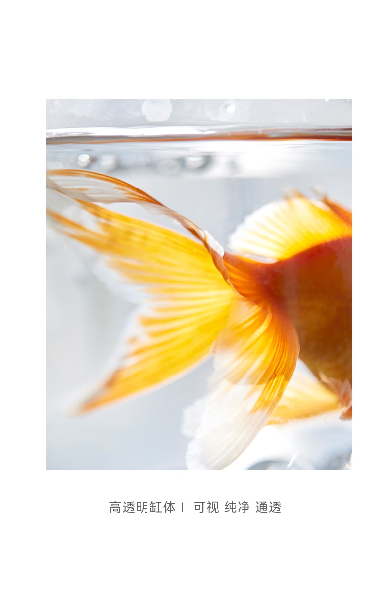 OLAYKS 鱼缸新款小型桌面办公便携式户外打氧无线注氧金鱼缸