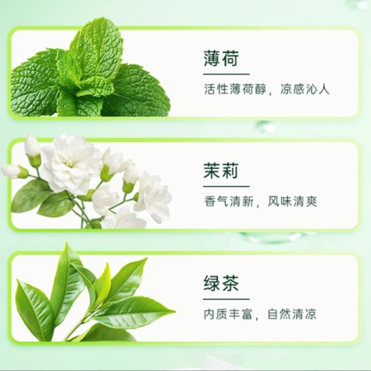 【中国直邮】 猴王牌 薄荷茉莉绿茶 原叶鲜茶 冷热双泡三角袋 75g 30包 3