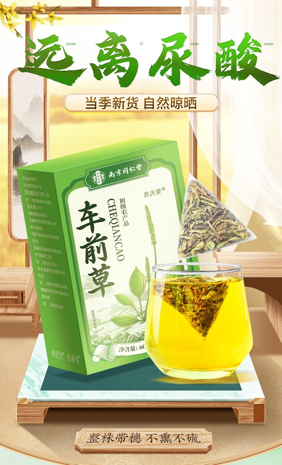中國直郵】 南京同仁堂車前草野利尿茶泡水喝尿酸茶高降袋泡茶包60g/盒