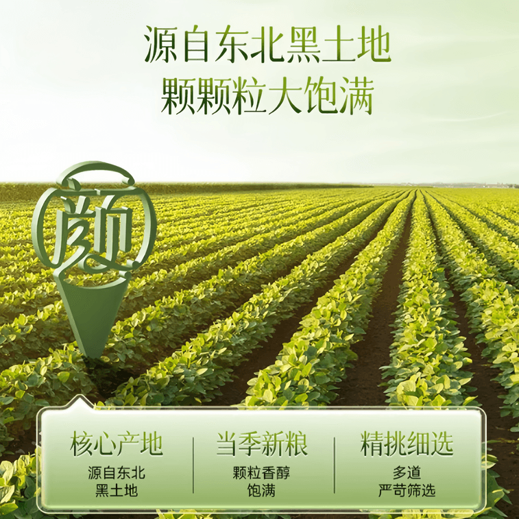 Oriental Yan Research Northeast Mung Beans, Large and Plump, 500g*1 Bag 3