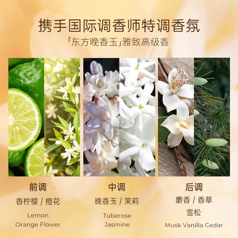 KONO ブラックトリュフシャンプー（中国直送） - 乾燥、オイリー、ぺたんこ髪のための贅沢でオイルコントロール、ふわふわのシャンプー（500ml） 3