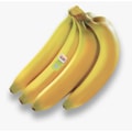Dole香蕉2.3-2.5磅