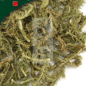 Shen Jin Cao, Unsulfured Lycopodium Japonicum Herb 500 G/bag