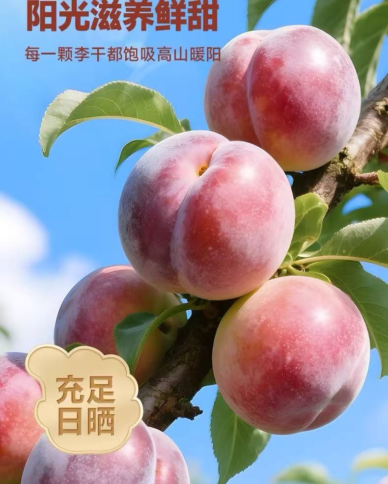 比比贊 永泰李乾 福建特產新鮮原味芙蓉李子蜜餞果乾80g*1袋