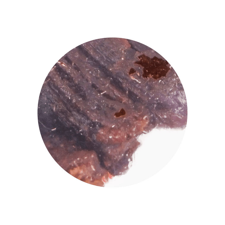 Mild Spicy Flavor Beef Jerky, 2.82 oz 3