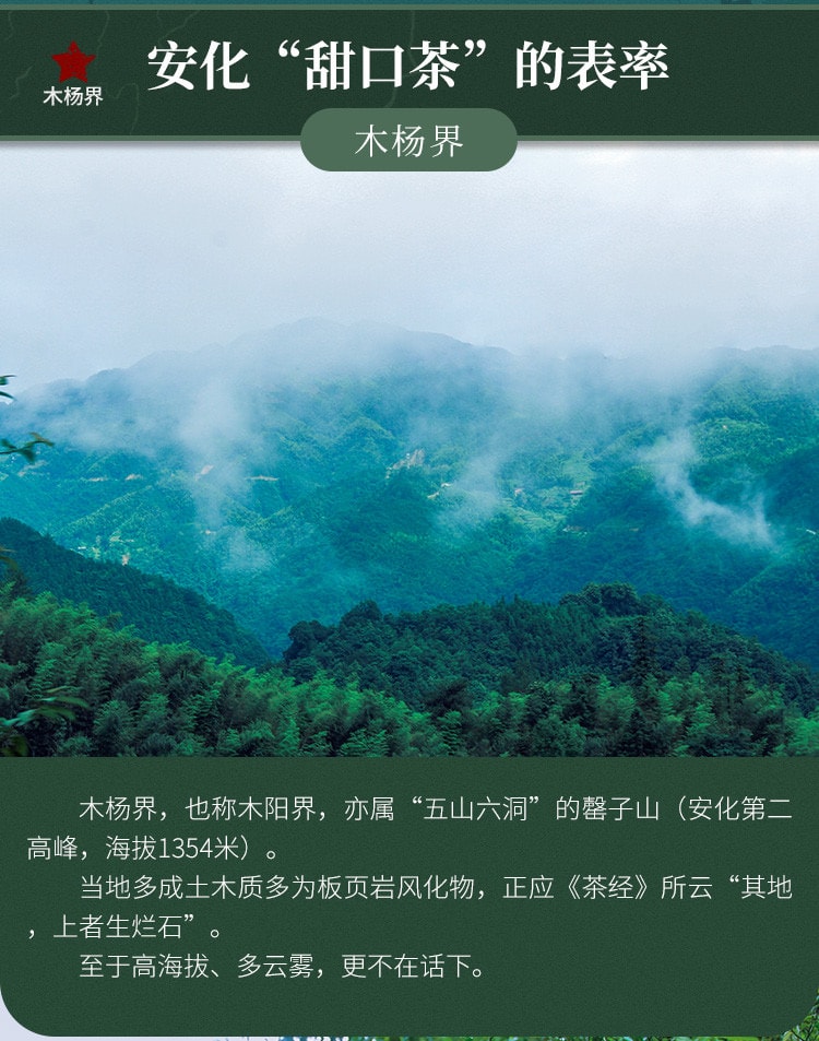  小师姐评茶 荒野花砖茶 木兰露 2019年安化黑茶 甜柔清净 果香蜜韵 来自“蜻蜓茶田”的干净好茶 100克