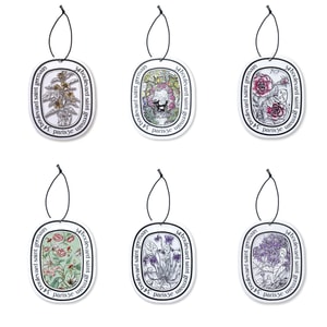 Painting Style Car Aromatherapy Fragrance Chip Perfume Wardrobe Ornament- MIX 6Pc 1Set