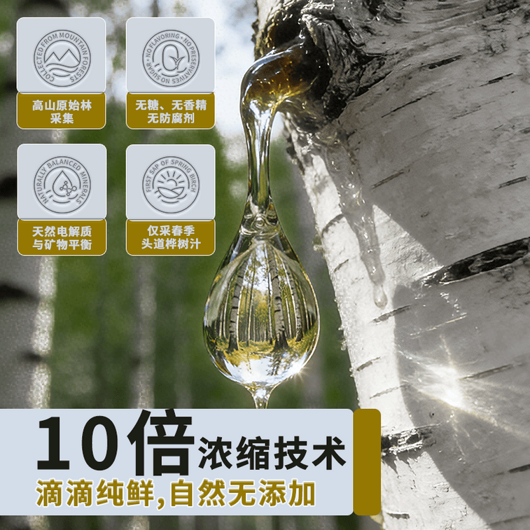 華薬堂 白樺樹液 50ml*6本 0糖 100%ストレート 美容スキンケア 抗酸化 高血圧予防 血糖値低下【10倍濃縮】 6