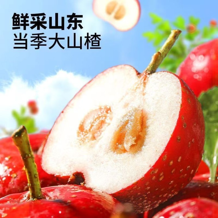 健康・その他：サンザシのスライス - 甘酸っぱくておいしいスナック、102g x 1パック 4