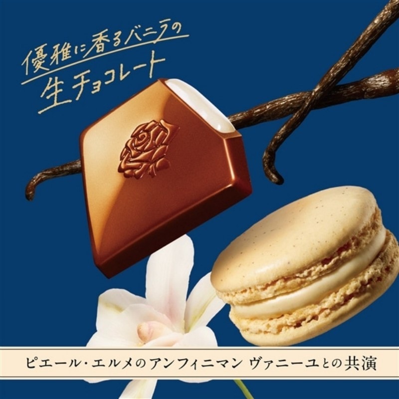 日本 日本乐天 乐天 期间限定 加纳巧克力 特制版 无限香草夹心生巧克力 12个装